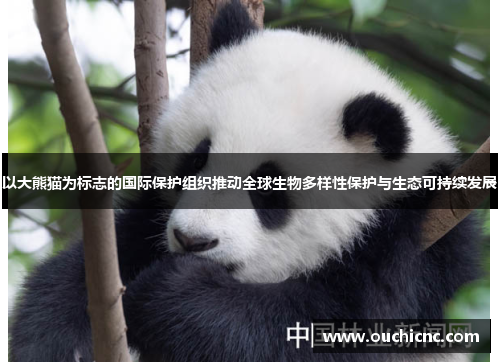 以大熊猫为标志的国际保护组织推动全球生物多样性保护与生态可持续发展